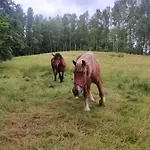 Jeziorna 26