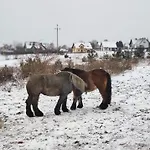 Jeziorna 26 *