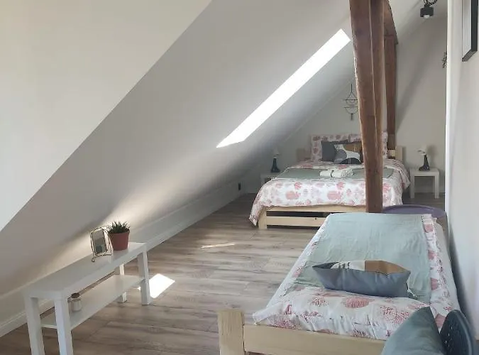 Jeziorna 26 度假居 Potuly